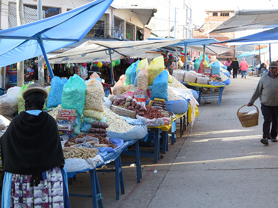 puno copa 18